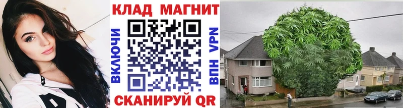Где продают наркотики Гаврилов Посад АМФ  СОЛЬ  Канабис  KRAKEN зеркало  КОКАИН  ГАШ 