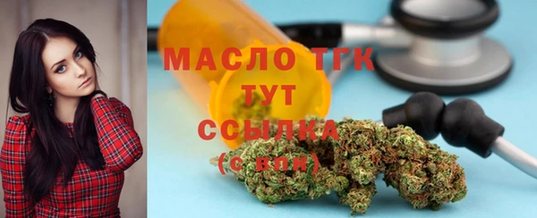 сатива Надым