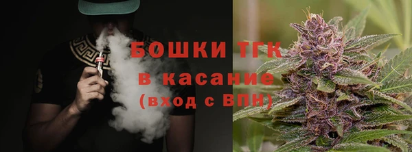 сатива Надым